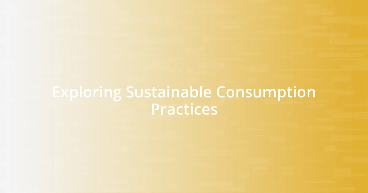 Exploring Sustainable Consumption Practices