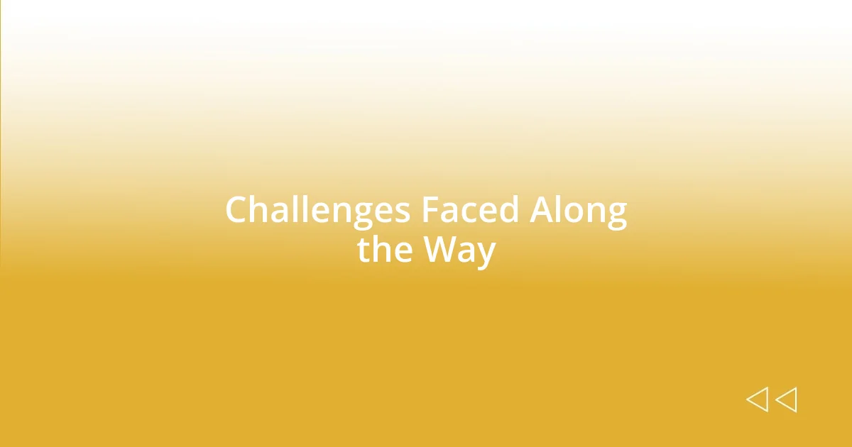 Challenges Faced Along the Way